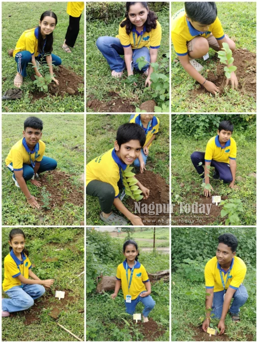 TarkShala Academy Organises Tree Plantation Drive