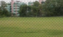 Nagpur VHA Ground to Be Taken Over by Nazul Department on August 13