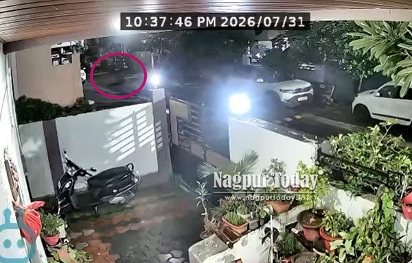 Chain-Snatching Gang Strikes Thrice in a Day in Nagpur