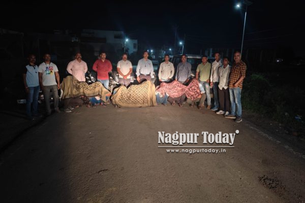 Crime Branch busts gambling den, nine held in Wathoda raid