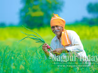 महाराष्ट्रातील ६ लाख २२ हजार शेतकरी कर्जमुक्त; ५,०२८ कोटी रुपये कर्जखात्यावर जमा