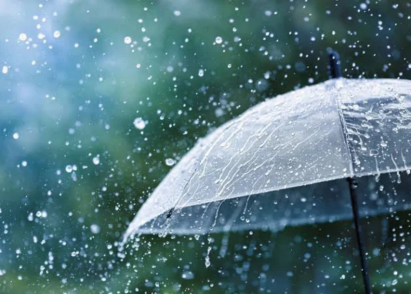 Maharashtra Weather Alert: Heavy Rain Likely in Nagpur, Mumbai, Pune