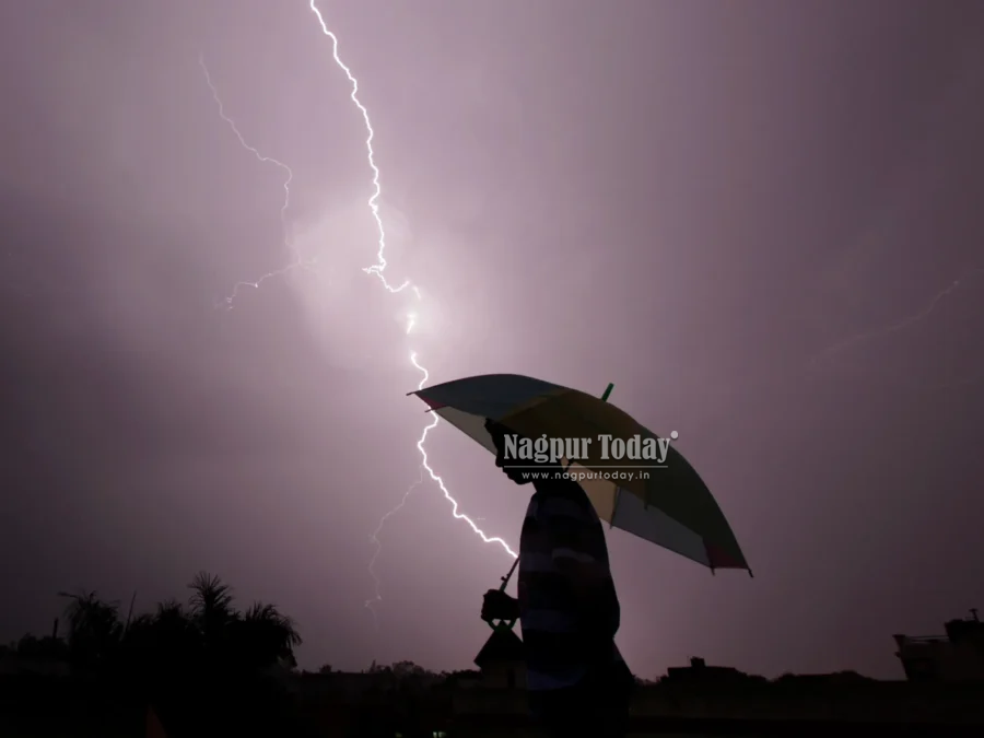 Nagpur: Lightning Strike Kills Two Cousin Farmers in Kalmeshwar