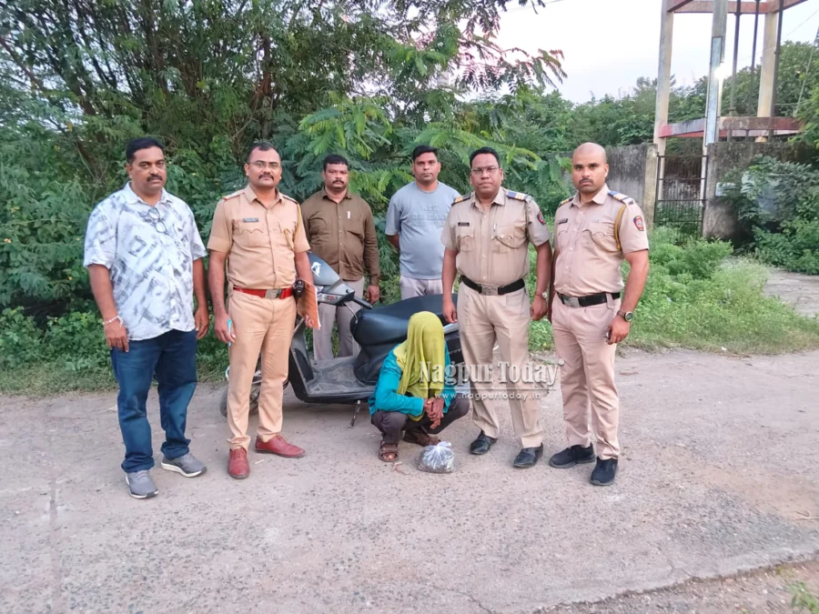 खापरखेड़ा पुलिस की बड़ी कार्रवाई 464.850 ग्राम गांजा बरामद,