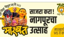 तिकीट नाही, मारबत पाहा मोफत; नागपूर मारबत उत्सवाबाबत शिवानी दाणींचे स्पष्टीकरण