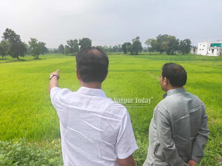 गोंदिया। सूखे की मार , एक्शन में सत्ता पक्ष.. अफसरों की फौज लेकर किसानों के बीच पहुंचे पूर्व मंत्री डॉ. परिणय फुके