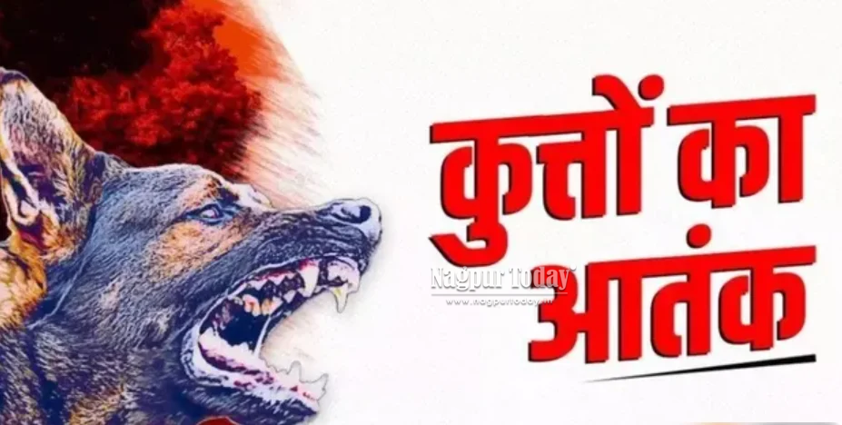 रेबीज का बढ़ता खतरा: पांच साल में 44,660 लोगों को कुत्तों ने काटा