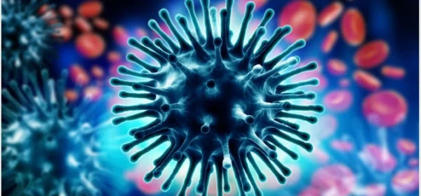 Swine Flu Cases Rise in Nagpur, 88 Infected
