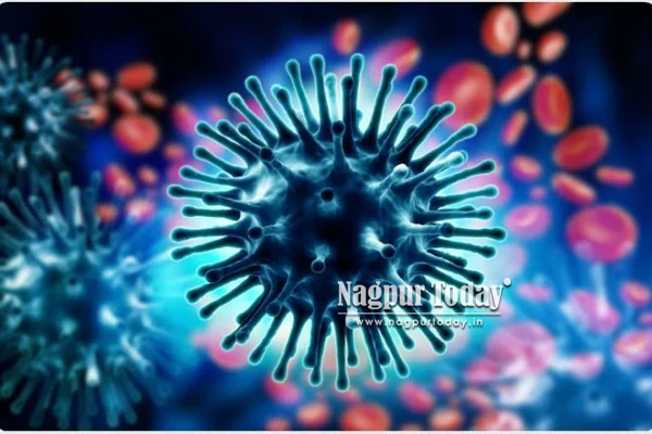 Swine Flu Cases Rise in Nagpur, 88 Infected
