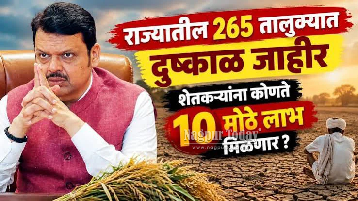 महाराष्ट्रातील 265 तालुक्यांत दुष्काळ जाहीर; फडणवीस सरकारकडून शेतकऱ्यांसाठी मोठी घोषणा