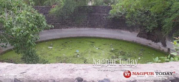Nagpur HC Questions ₹125 Crore Camera Plan for City Wells, Asks NMC to Explore Trap Cameras