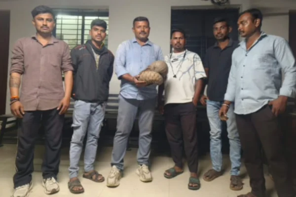 नागपूरच्या हिंगणा परिसरात दुर्मिळ खवले मांजर आढळले; सर्पमित्रांच्या मदतीने सुरक्षित रेस्क्यू