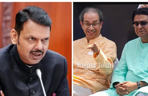 Fadnavis calls Thackerays ‘Ghajinis’ over anti-CEC protest