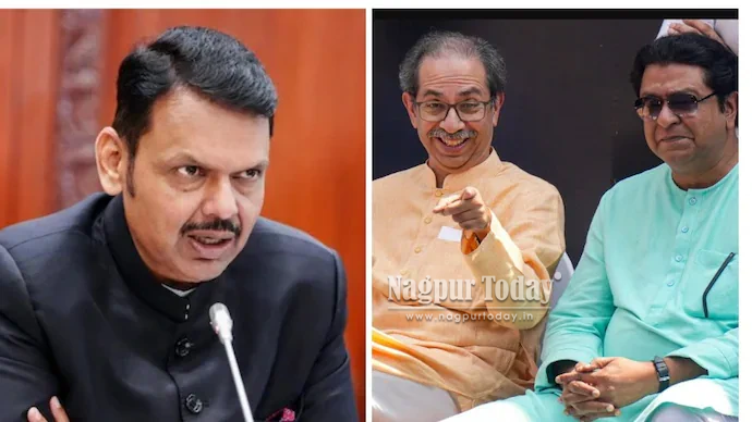 Fadnavis calls Thackerays ‘Ghajinis’ over anti-CEC protest