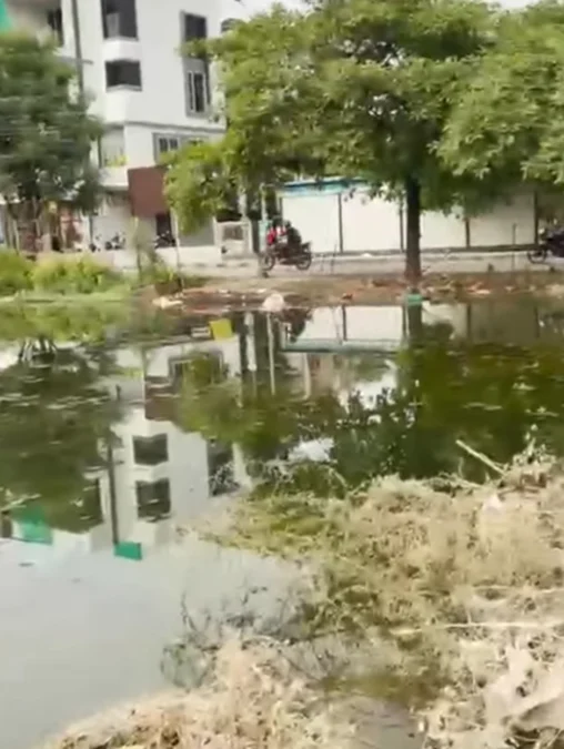 नागपुरात प्रभाग ३५ मध्ये रिकाम्या भूखंडाला तळ्याचे स्वरूप; सांडपाण्याच्या दुर्गंधीने नागरिक त्रस्त