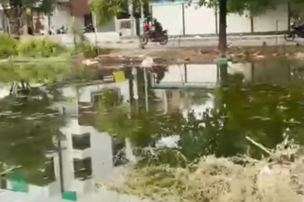 नागपुरात प्रभाग ३५ मध्ये रिकाम्या भूखंडाला तळ्याचे स्वरूप; सांडपाण्याच्या दुर्गंधीने नागरिक त्रस्त
