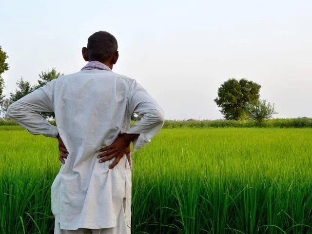 दिवाळीच्या आधीच शेतकऱ्यांना आर्थिक मदत; महाराष्ट्रातील ९१ लाख खात्यांवर १,८३५ कोटींचा निधी