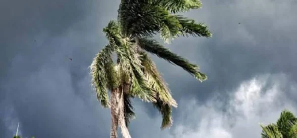 Vidarbha Faces 27% Rainfall Deficit as Monsoon Withdraws