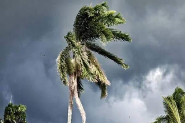 Vidarbha Faces 27% Rainfall Deficit as Monsoon Withdraws