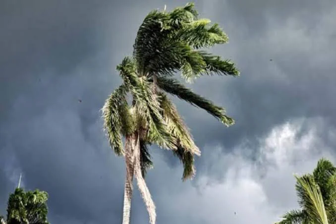 Vidarbha Faces 27% Rainfall Deficit as Monsoon Withdraws