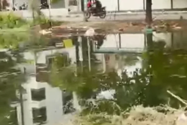 Sewage turns vacant plot into pond in Nagpur’s Ward 35; residents battle stench, health risks