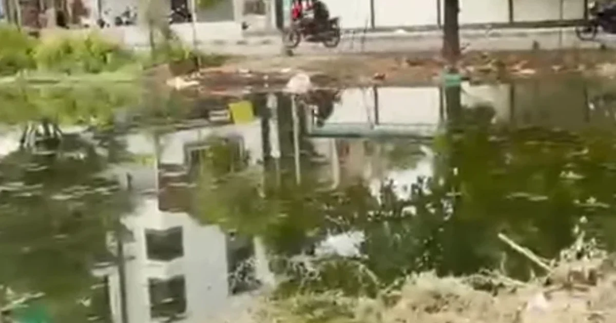 नागपुरात प्रभाग ३५ मध्ये रिकाम्या भूखंडाला तळ्याचे स्वरूप; सांडपाण्याच्या दुर्गंधीने नागरिक त्रस्त